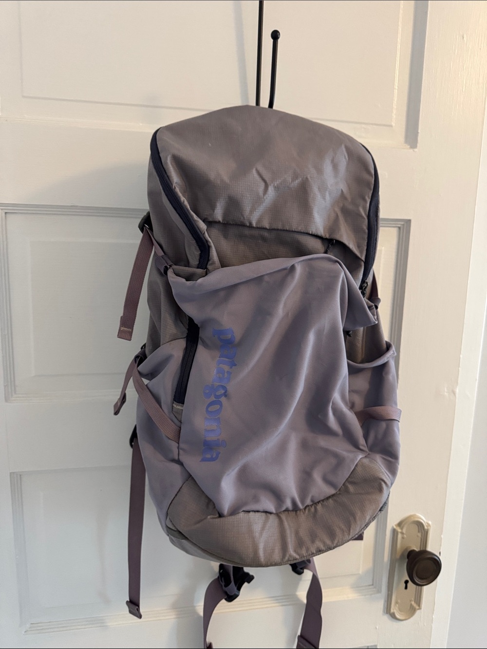 Patagonia Lavender Gray Backpack with Blue Logo